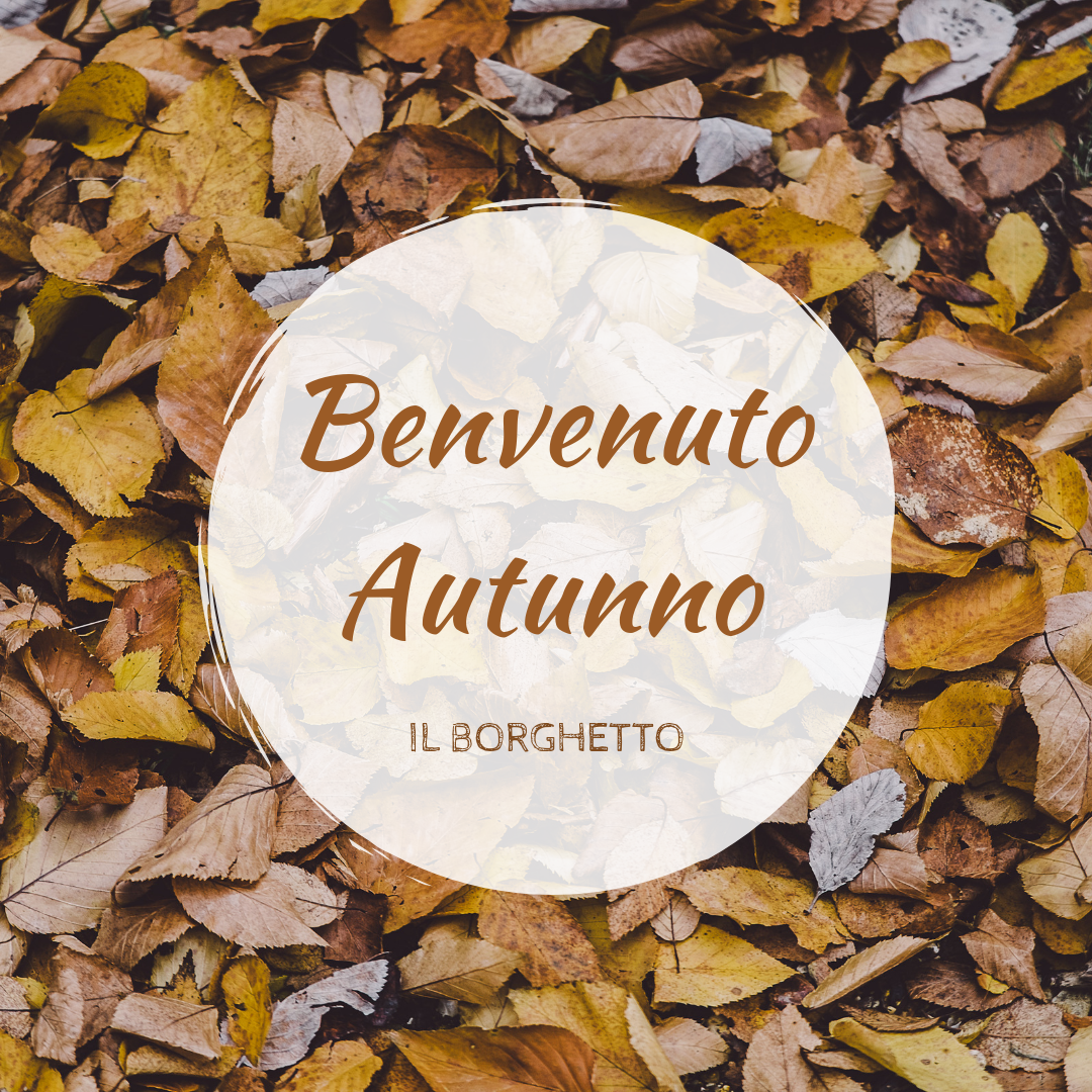 Offerte BENVENUTO AUTUNNO - Borghetto Montalcino