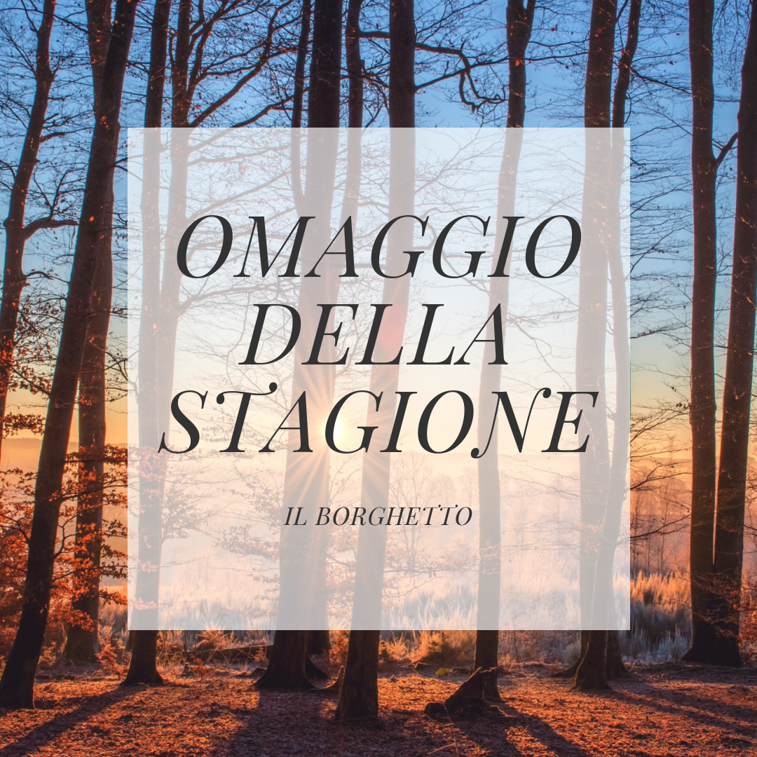 Offerte OMAGGIO DELLA STAGIONE - Borghetto Montalcino