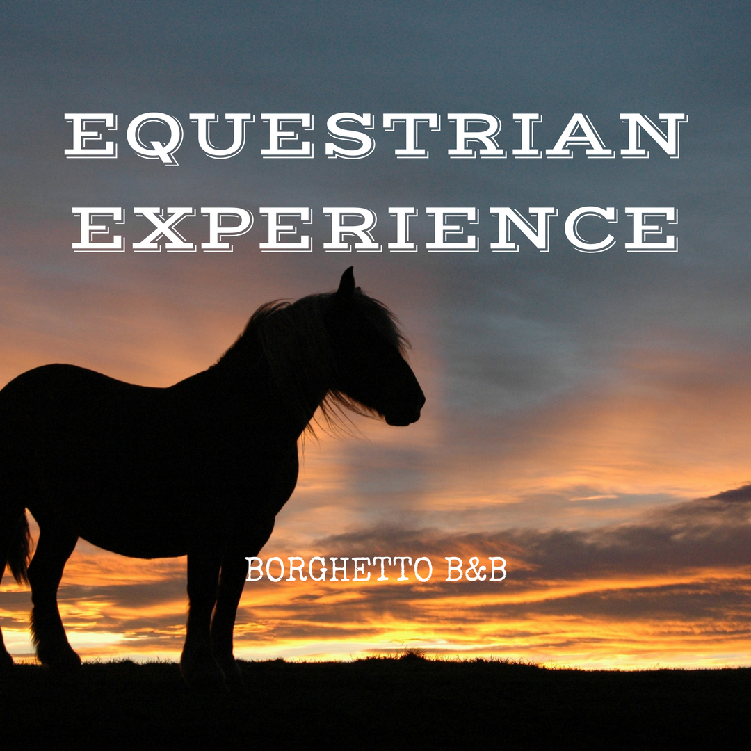 EQUESTRIAN EXPERIENCE