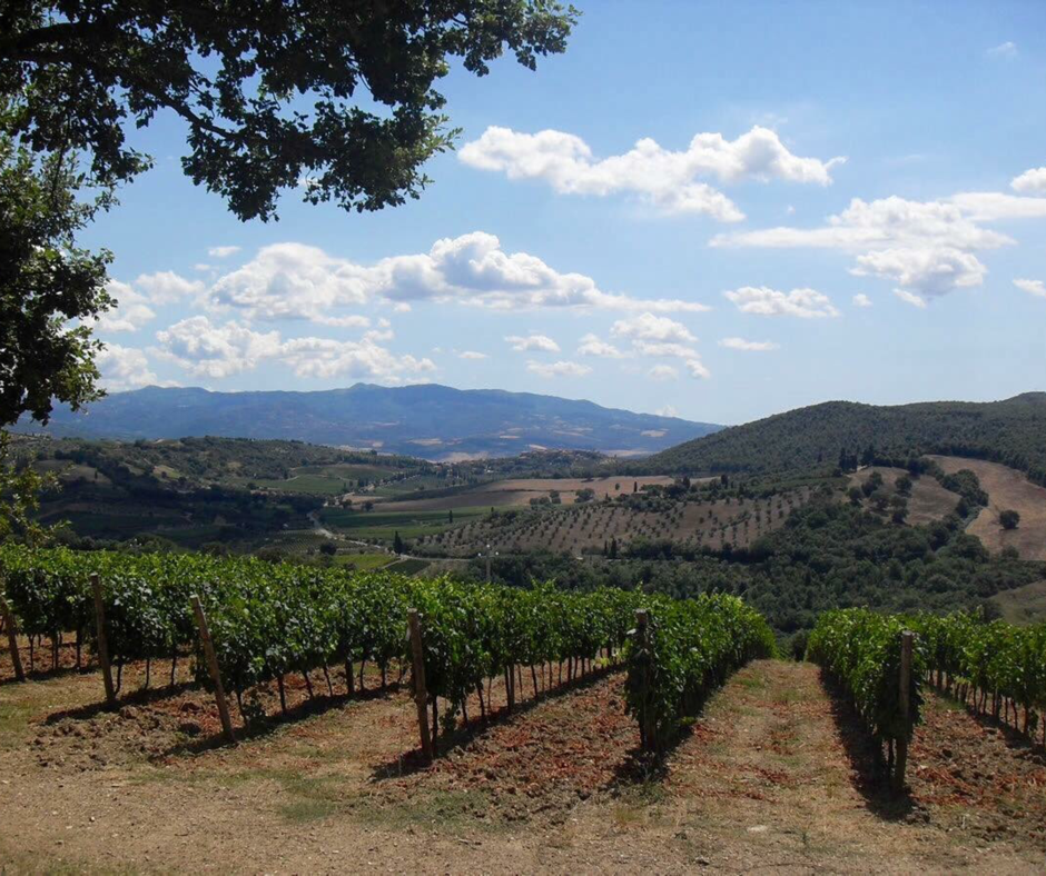 “MONTALCINO and BRUNELLO” ITINERARY